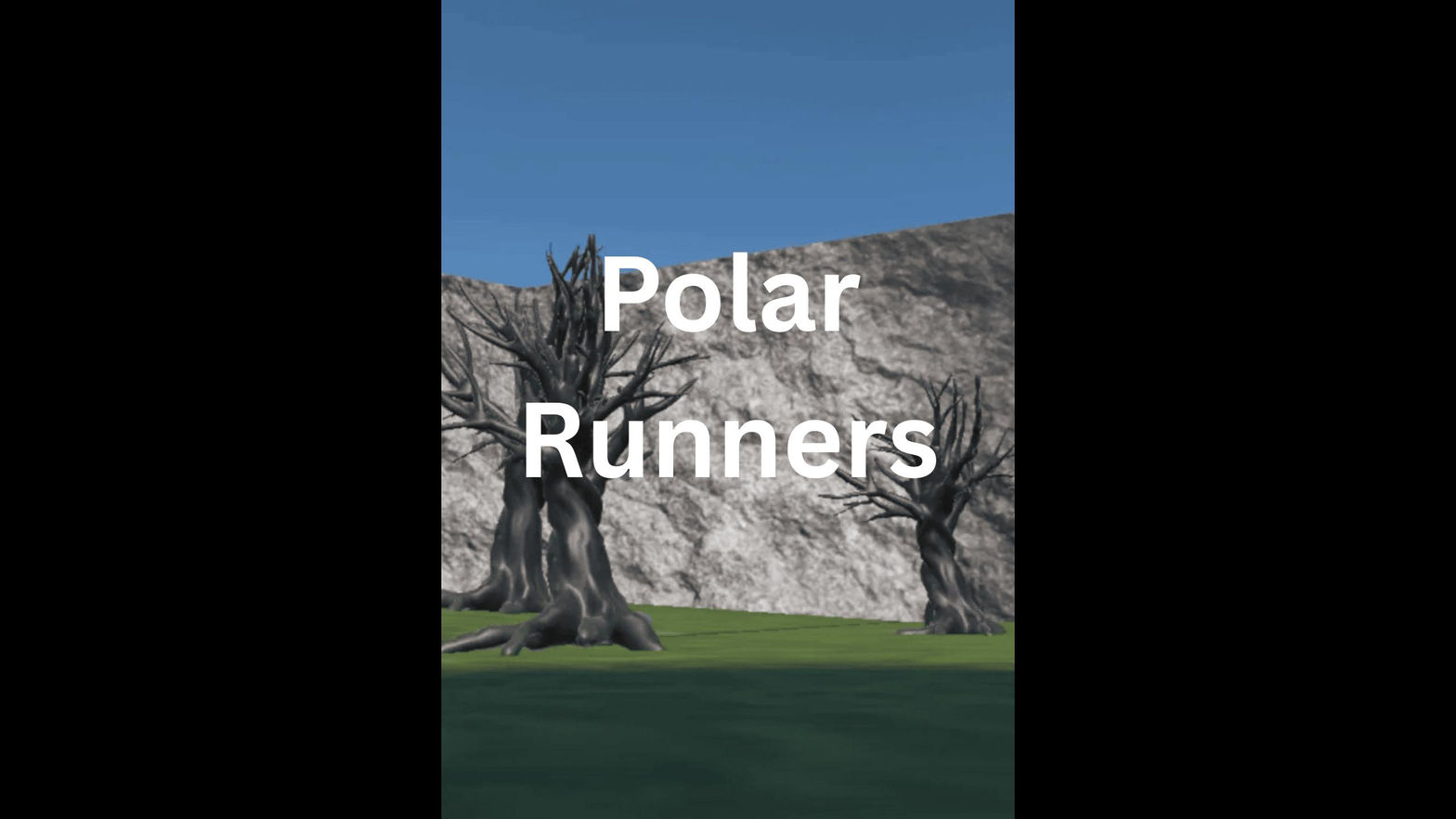 Polar runners