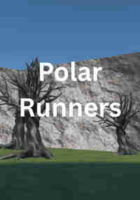 Polar runners