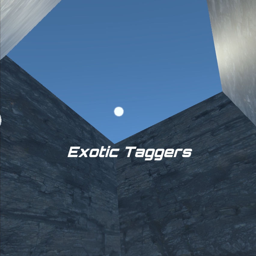 Exotic Taggers