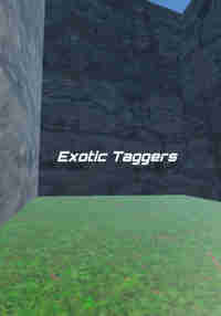 Exotic Taggers