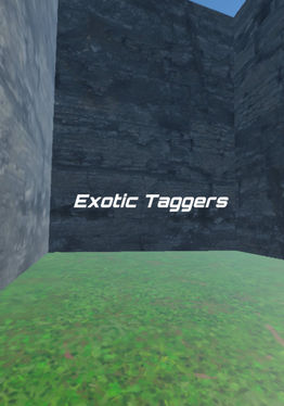 Exotic Taggers