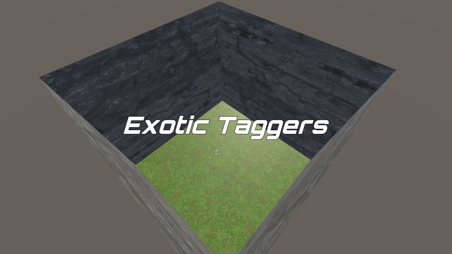 Exotic Taggers
