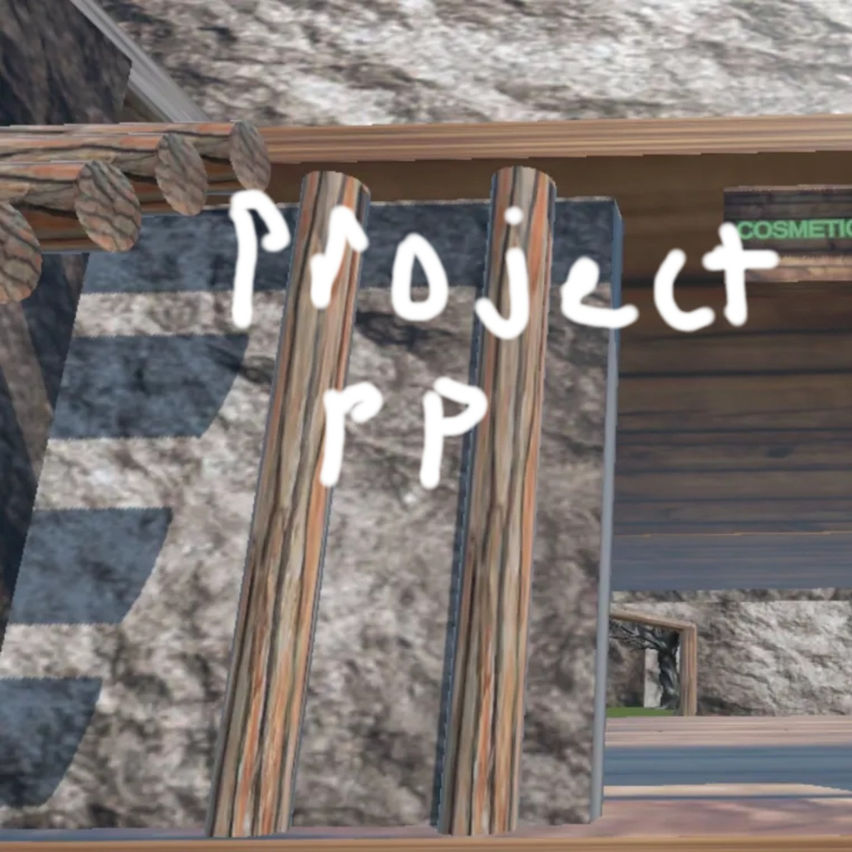 Project PP