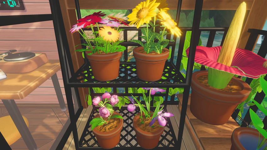 Balcony Garden
