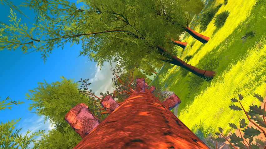 360 Tree Runner
