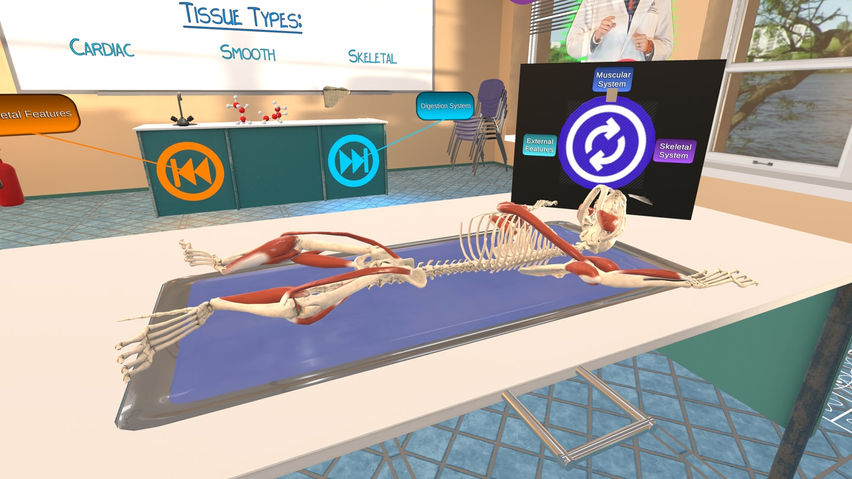 Dissection Simulator: Cat Edition