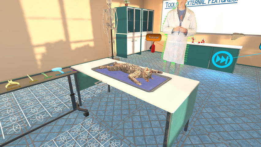 Dissection Simulator: Cat Edition