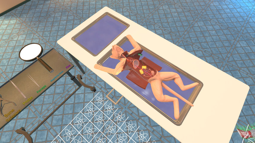 Dissection Simulator: Cat Edition
