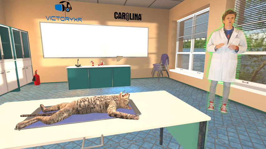 Dissection Simulator: Cat Edition