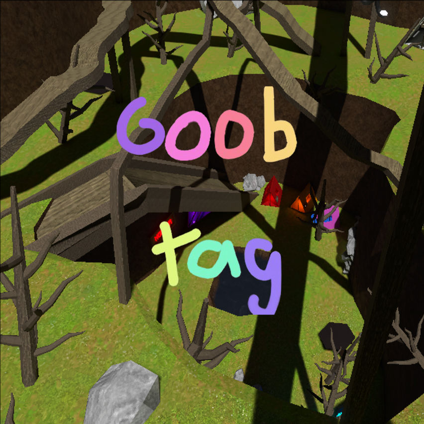 Goob Tag VR