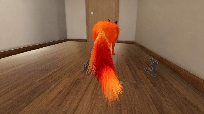 My puppy:  Fox