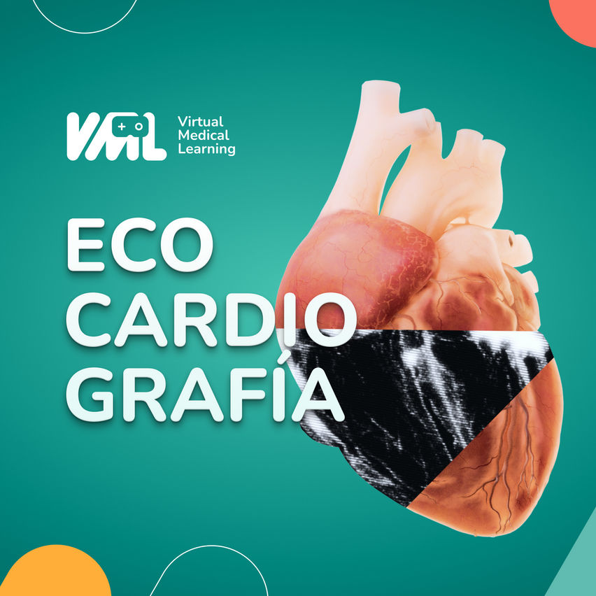 Echocardiography VR - VML
