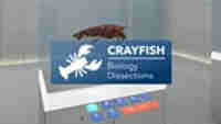 Crayfish Dissection Add-on