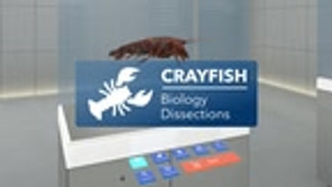 Crayfish Dissection Add-on