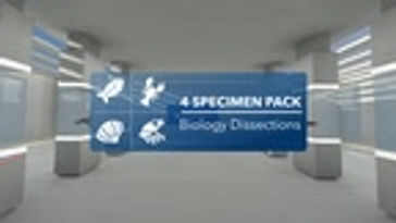 4-Specimen Pack Add-On
