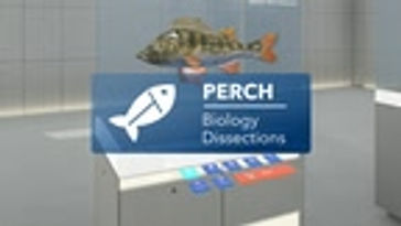 Perch Add-On