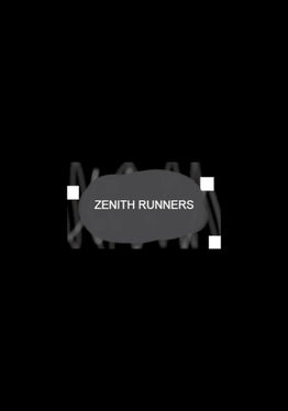Zenith Runners