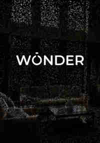 Wonder