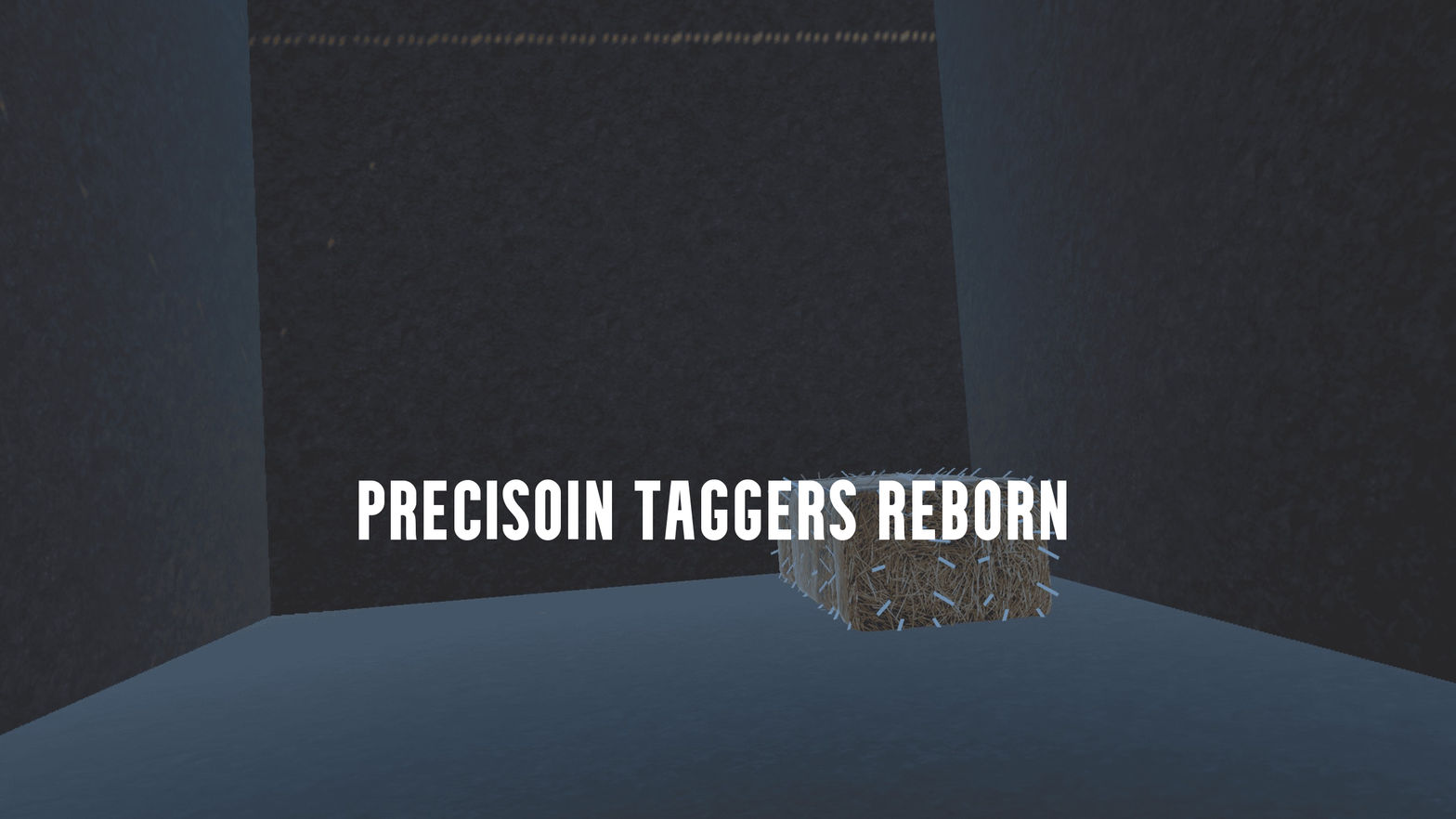 Precisoin taggers REBORN