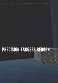 Precisoin taggers REBORN