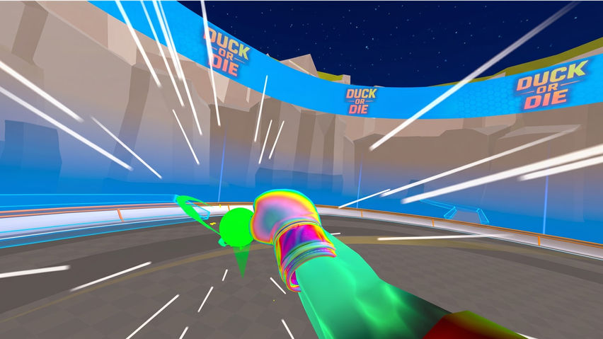 Ruckus: Boxing Ball VR