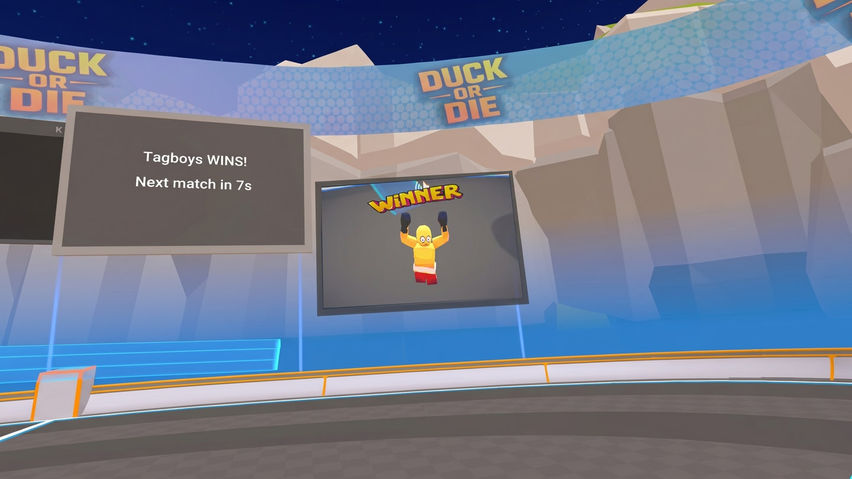 Ruckus: Boxing Ball VR