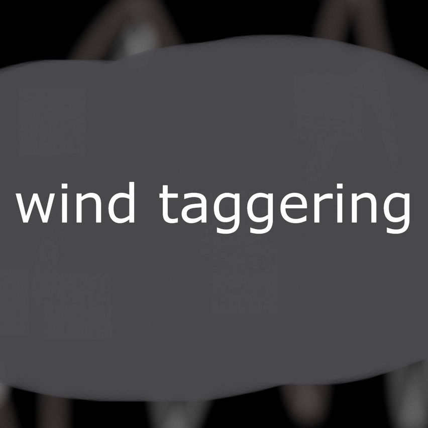 wind taggering