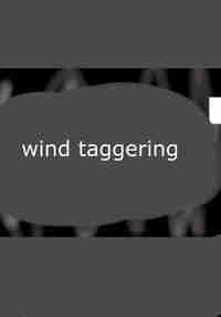 wind taggering