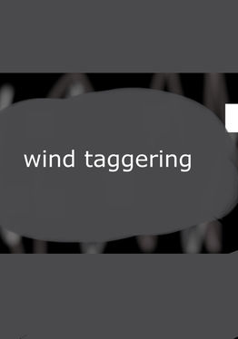 wind taggering