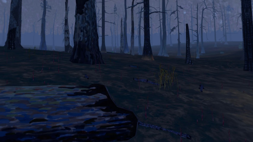 Forest Fire Regrowth