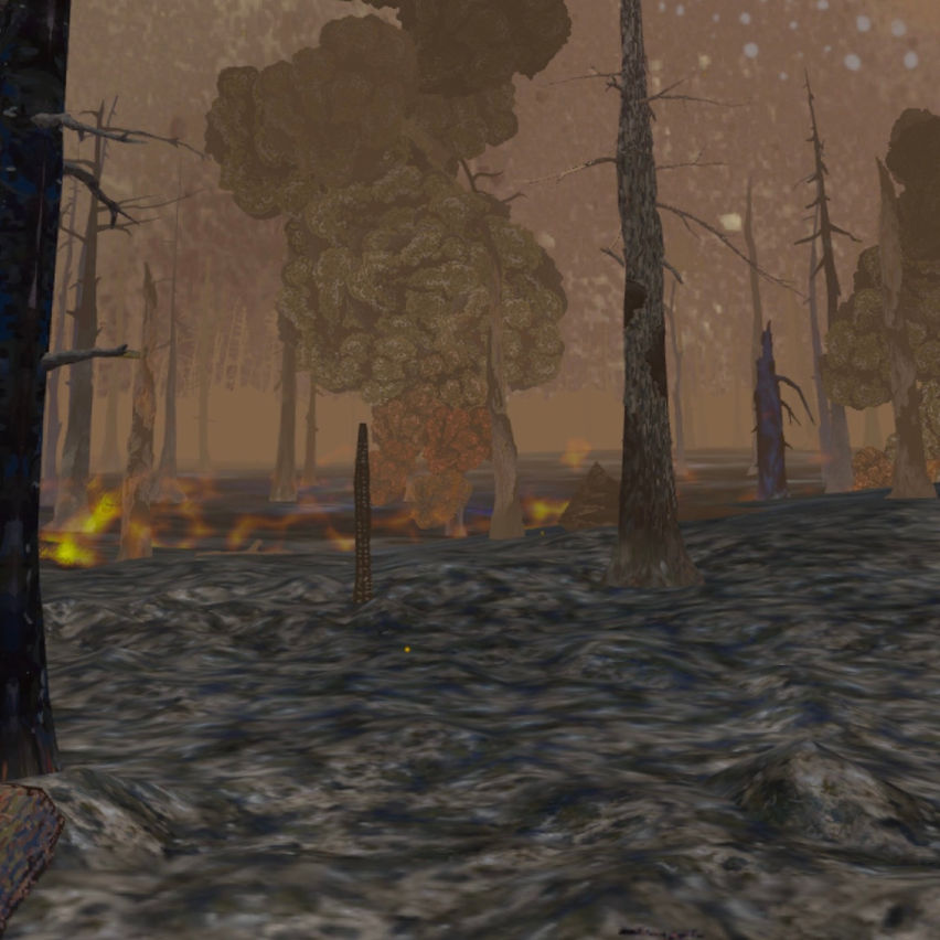 Forest Fire Regrowth