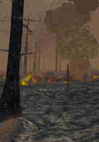 Forest Fire Regrowth