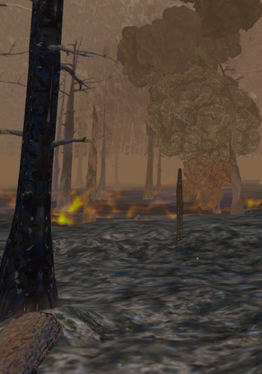 Forest Fire Regrowth