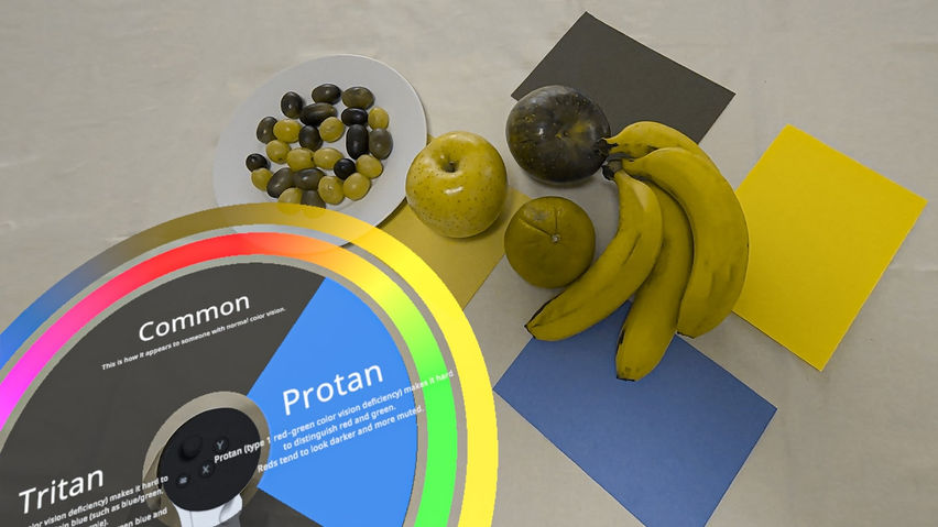 Iromie: Color Vision & Aging Experience