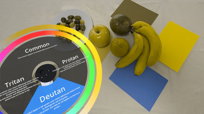Iromie: Color Vision & Aging Experience