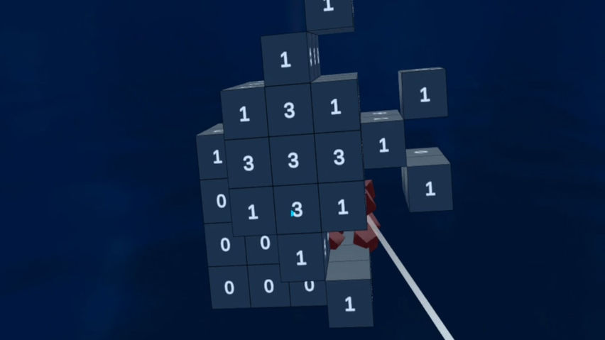 VoxelCross
