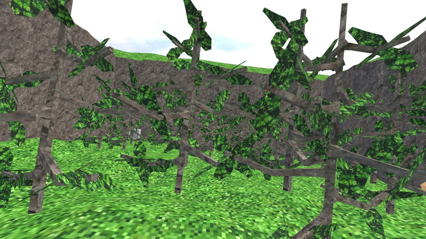 C Taggers VR
