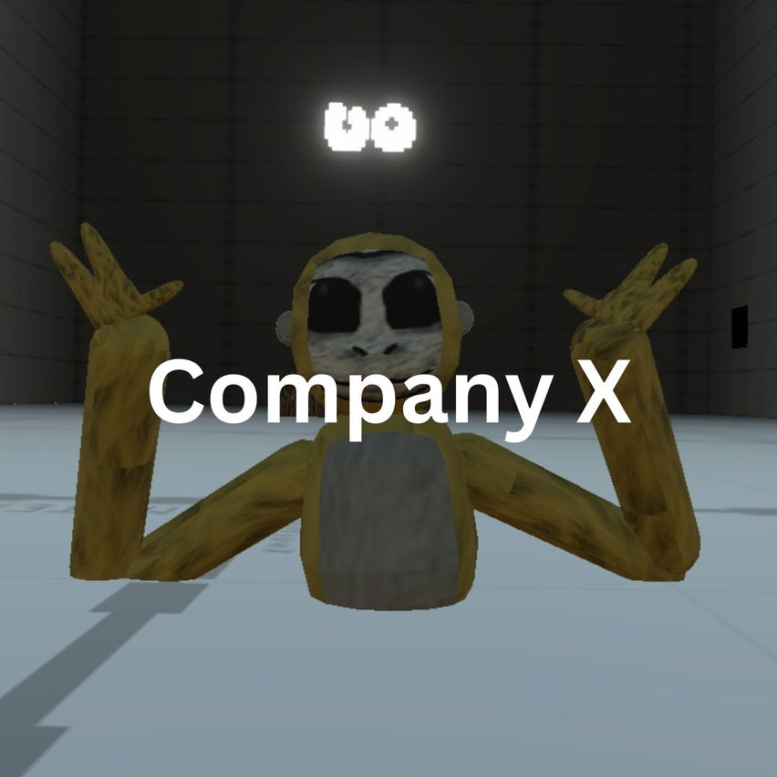 Company X
