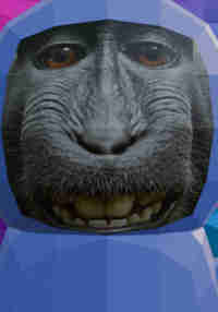 Scary Ape!