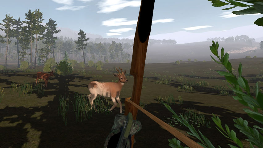 Virtual Hunter