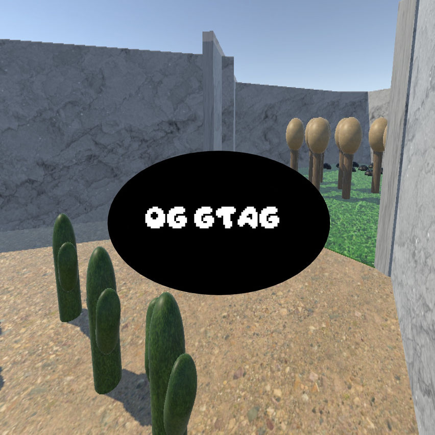 OG GTAG