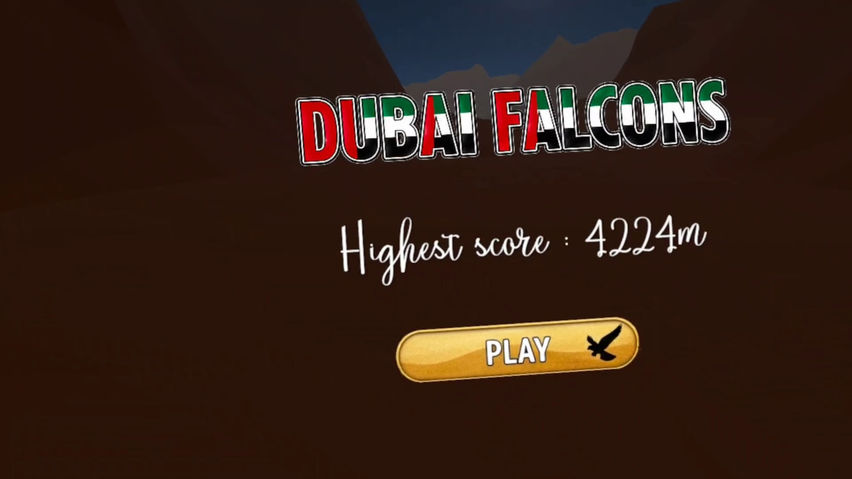VR Dubai Falcons