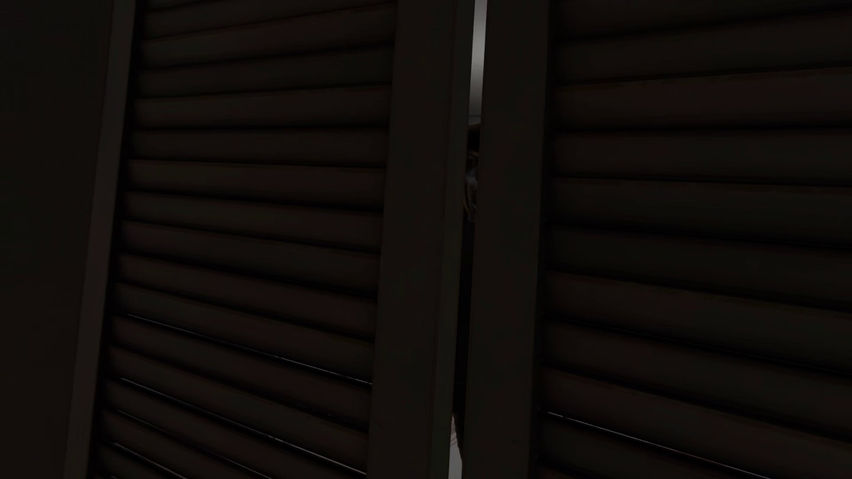 Mandela Invasion VR: Alternates