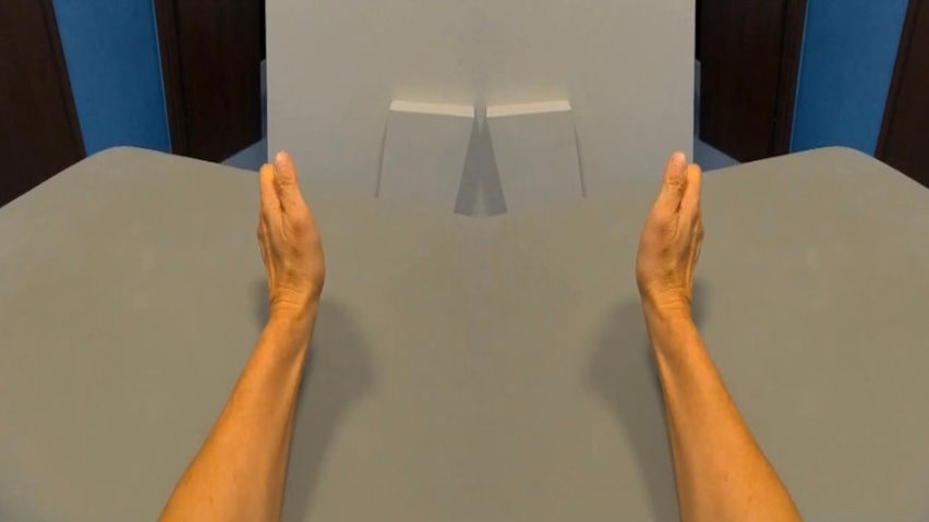 MirrorBox