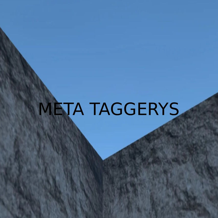 Meta Taggerys