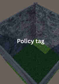 Policy tag