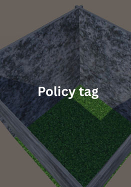 Policy tag