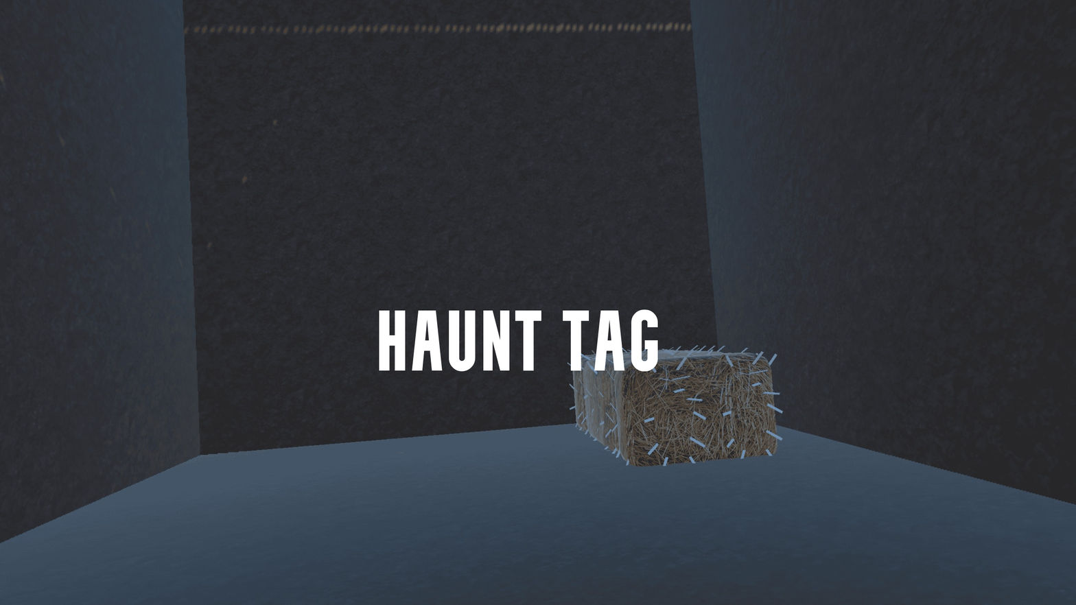 HAUNT TAG