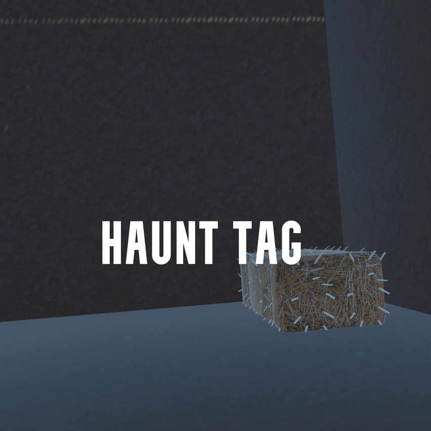 HAUNT TAG
