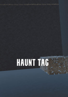 HAUNT TAG